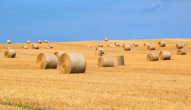 vitamine,nährstoffe, 95% WENIGER VITAMINE UND NÄHRSTOFFE HEUTE, Die gesunde Frau